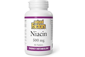 Natural Factors Niacin Vitamin B3 500 mg, 90 Tablets
