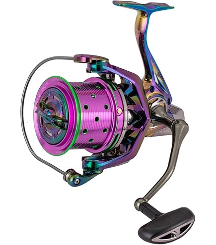 Amazon.com : Daiwa 22 Prorex V Lt 2500-XH Fishing Reel