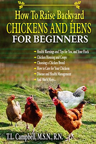 How To Easily Raise Backyard Chickens And Hens For Beginners An