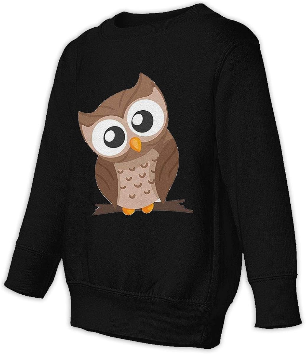 Beautiful Owl Boys Girls Pullover Sweaters Crewneck Sweatshirts Clothes