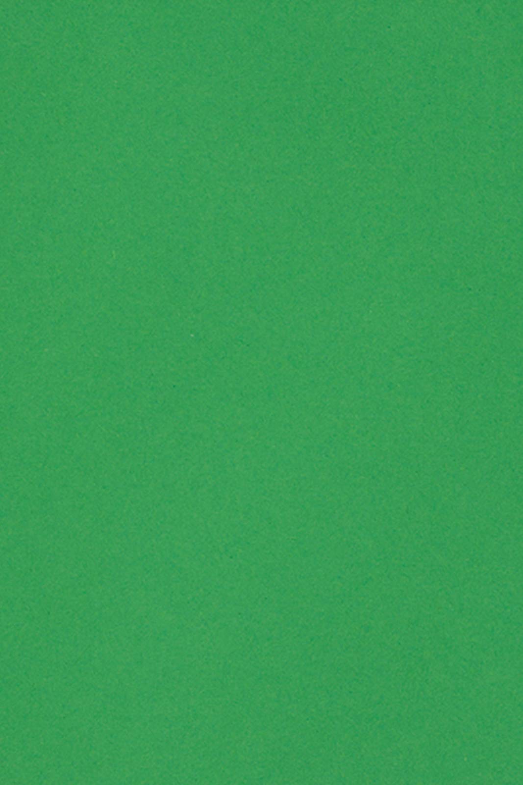 Netuno 20 Sheets of Green Cardboard A4 210 x 297 mm 8.27 x 11.69 250 GSM Burano Verde Bandiera Double Sided Paper for Inkjet Laser Printing Scrapbooking Invitation Crafting Greeting Cards Flyers DIY