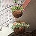 Metal Hanging Planter Basket Coco Coir Liner with Black Chain Garden Decoration Indoor Outdoor Flower Pots Set of 2-12 inch