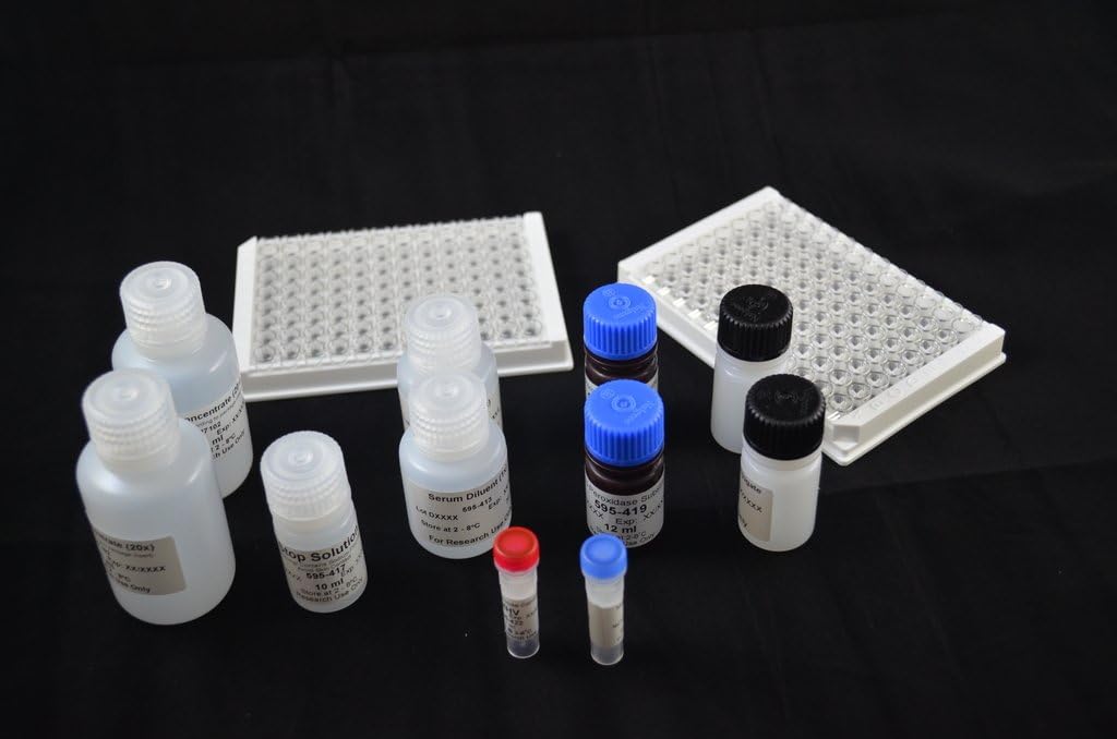 HIV-1 p24 ELISA Kit