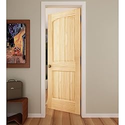 Colonial Two Panel Arch-top Passage