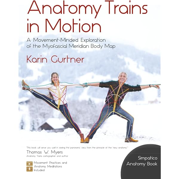 Anatomy Trains in Motion (Slings Myofascial Training): Gurtner
