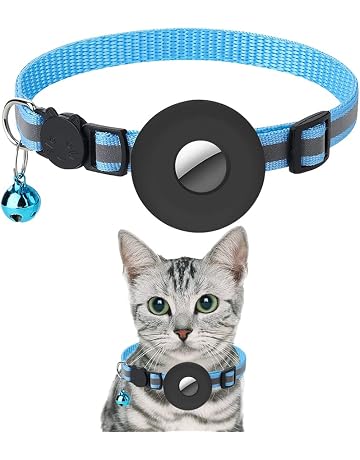 Amazon.es: Collares - Collares, arneses y correas: Productos para mascotas