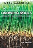 Growing Souls: Experiments in Contemplative Youth Ministry by Mark Yaconelli