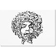 Trademark Fine Art Jimi Hendrix Wall Decor