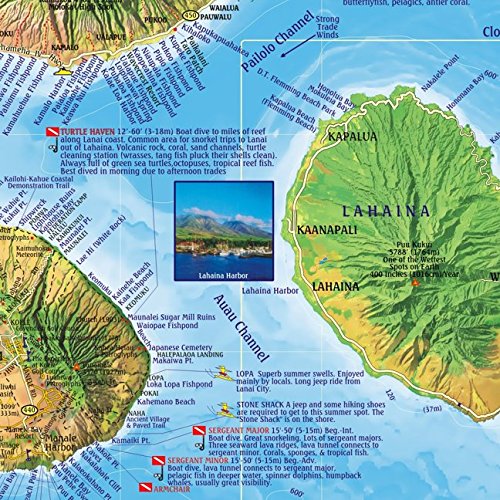 Maui Hawaii Dive & Snorkeling Guide Franko Maps Waterproof Map Pricepulse