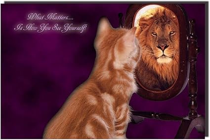 Posterforhome Ce Qui Compte Est Comment Vous Voyez Vous Meme Poster Inspirant Citation De Poster Poster Chat Au Lion Poster Decoratifs Pour Salle Poster 50 8 X 76 2 Cm Amazon Fr Cuisine Maison Posterforhome Ce Qui Compte Est Comment Vous Voyez Vous Meme Poster Inspirant Citation De Poster Poster Chat Au Lion Poster Decoratifs Pour Salle Poster 50 8 X 76 2 Cm Amazon Fr Cuisine Maison