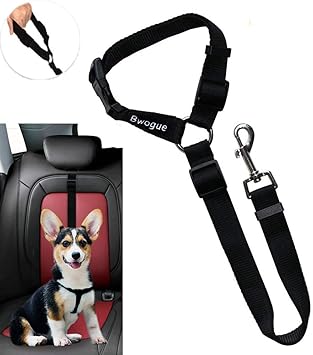 Amazon Corworld 犬用リード ロングリード ペット用品 犬 リード ドッグリード 可调式 滑り止め 步行 伸縮リード 巻き取り式ドッグリード ナイロン製 通気性 お出かけ お散歩 2本セット Almond ペット用品 通販