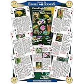 SEA and SKY Discover the Edible Wilderness Playing Cards