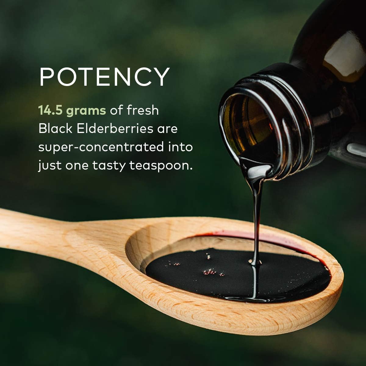 Gaia Herbs Black Elderberry Syrup - Daily Immune Support with Antioxidants, Organic Sambucus Elderberry Supplement, 5.4 Fl Oz (Pack of 1): Health & Personal Care