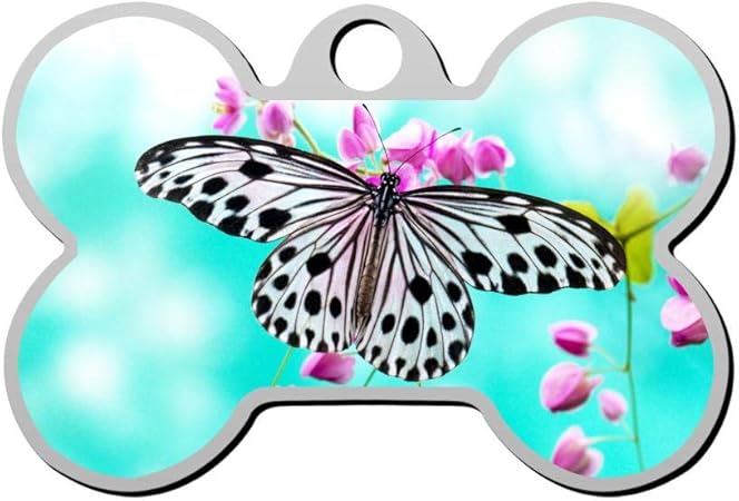 butterfly dog tag