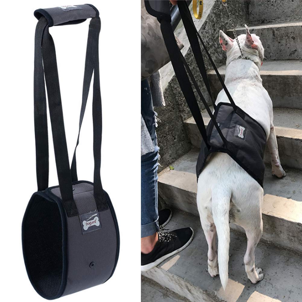 XYDZ Dog Lift Harness - Support Sling Helps Dogs With Weak Front or Rear Legs Stand Up, for Older or Sick Pets Getting In and Out of Stairs and Out of Cars
