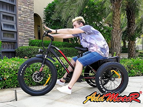 addmotor motan trike