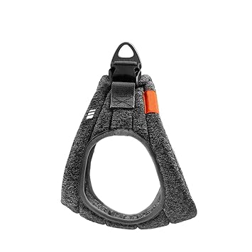 Haustier Brust Zuruck Grau Ultra Kleine Hundetraining Brust Nach