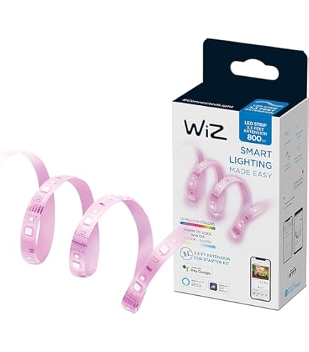 WiZ Prise connectée intelligente - Leroy Merlin