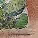 Whitelotous 18 x 18 Inch Creative Cactus Succulent Plants Cotton Linen Decorative Square Cushion Cover Throw Pillow Case Home Sofa Car Decor (1#)