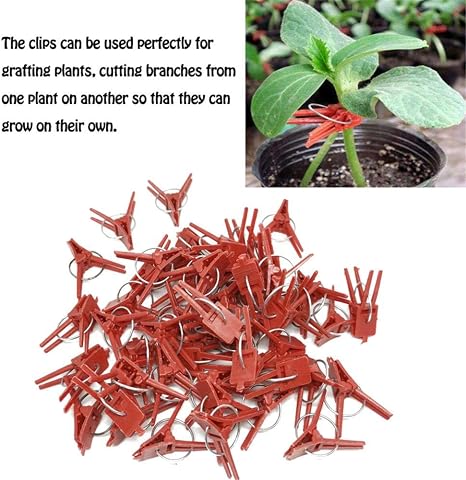 Meetforyou 100PCS Clips De Injerto De Plantas, Herramientas De ...
