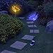 Butterfly Decor Outdoor Holiday LED Lighting Solar Garden Stake Lights Color Changing in-Ground 3D Fixture for Christmas Thanksgiving Patio Yard Lawn Decoration (2 Pack)