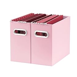 Oterri File Organizer, 2 Packs Small Storage