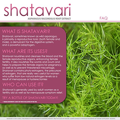 Shatavari | 700mg Asparagus racemosus Capsules | 30 Day Supply - Thumbnail 4