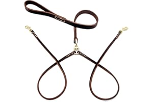 Wellbro Real Leather Double Dog Leash, No Tangle Dual Dog Leashes with Heavy Duty Shiny Coupler, 5 Feet Pet Training and Walking Leads for 2 Puppies, Small and Medium Dogs, Brown