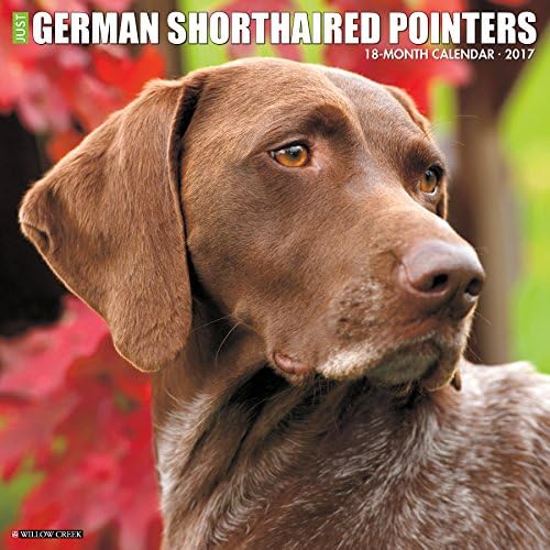 Just German Shorthaired Pointers 2017 Wall Calendar (Dog Breed Calendars)