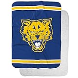 Fort Valley State University Primary Logo Stripes