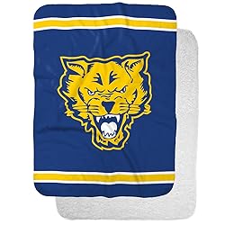 Fort Valley State University Primary Logo Stripes