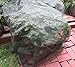 Bird Net for Plant Protection -Soft Mesh Fabric -Bird Friendly -5 feet by 10 feet