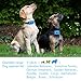 ColPet No Bark Collar, Rechargeable Anti Bark Collar Beep/Vibration/Safe Static Shock 7 Sensitivity Levels Bark Training Collar Reflective Strap for 15-150Ib Dogs