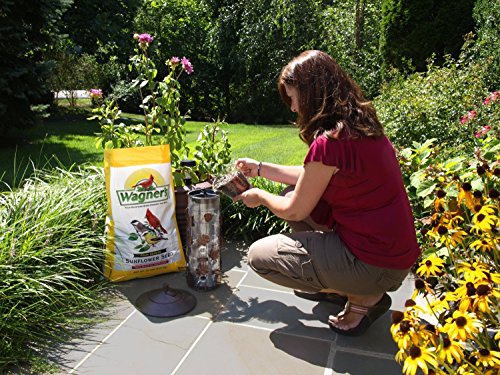 Wagner's 76029 Oil Sunflower Seed, 40-Pound Bag