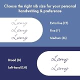 LAMY safari vista Fountain Pen with Left-Handed Steel Nib M - blue cartridge view 5