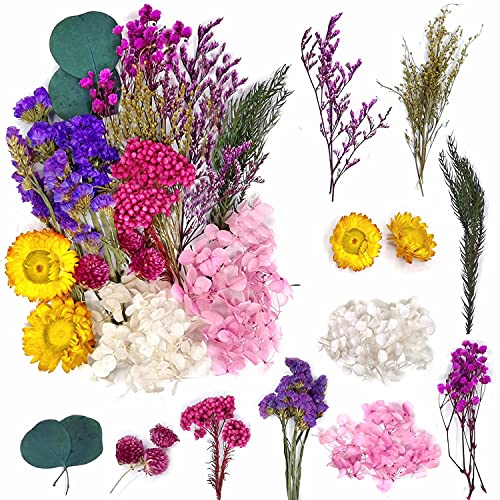 Real Natural Dried Flowers for Candle Making Dry Pressed Flowers for