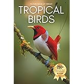 Picture Book of Vibrant Tropical Birds: A Beautiful Collection of Real Bird Photography for Seniors Living with Memory Loss, Alzheimer’s, or Dementia ... from the Tropics (Birds Coffee Table Books)
