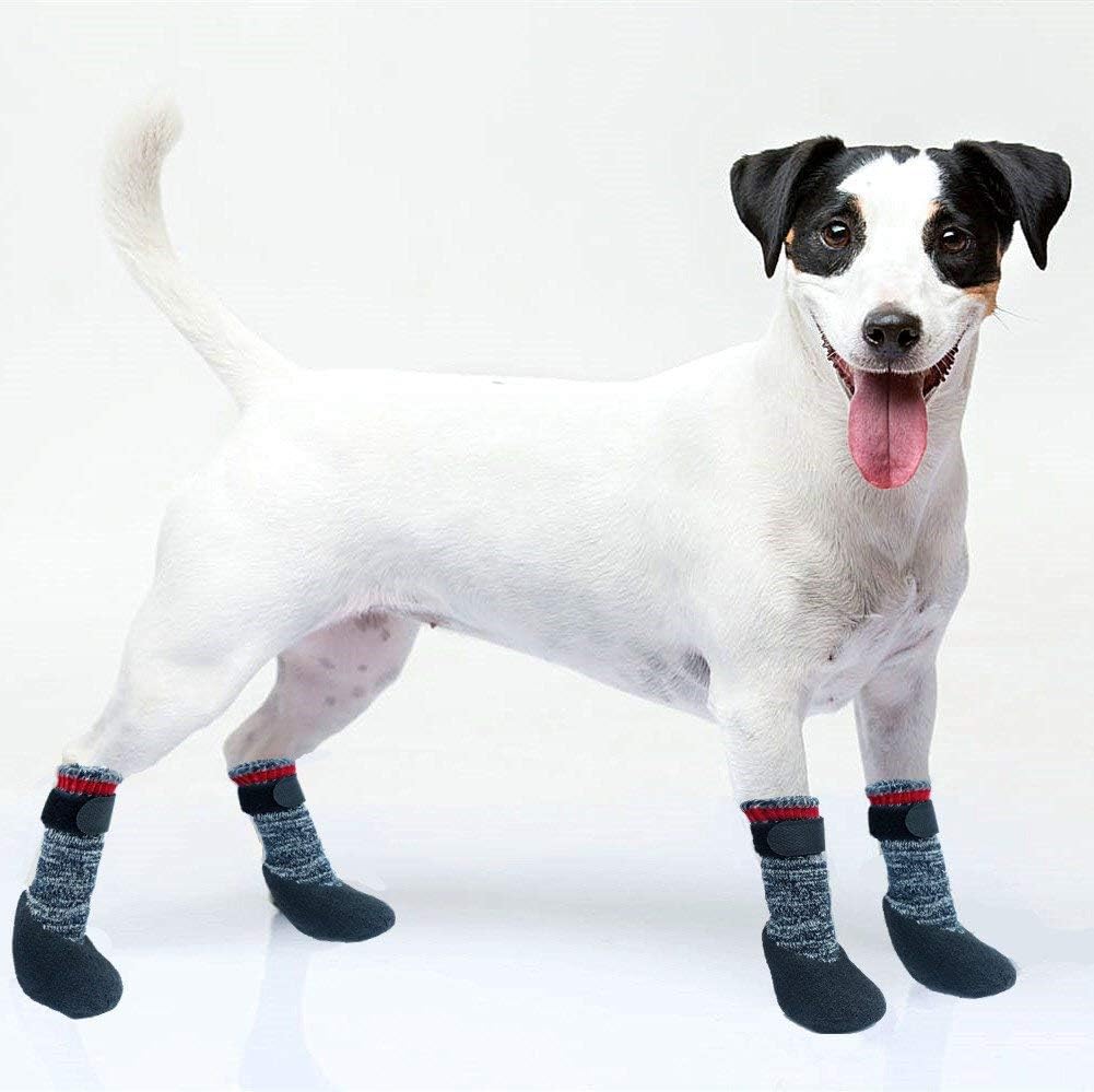 rubber dipped dog socks