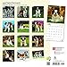 Saint Bernards 2018 Monthly Square Wall Calendar