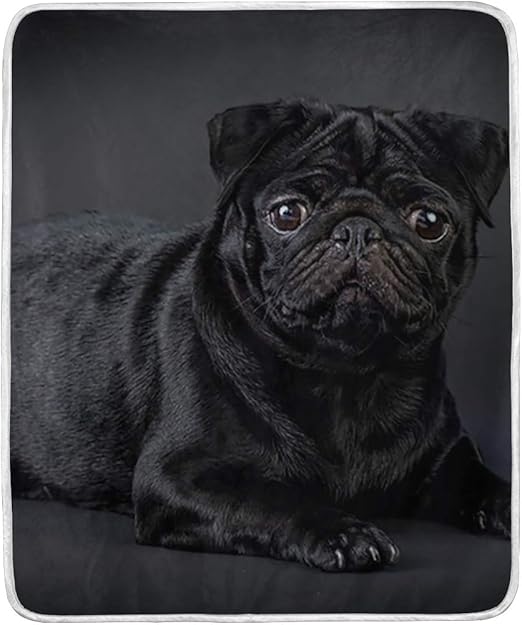 pug blanket amazon