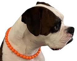 Dog Necklace