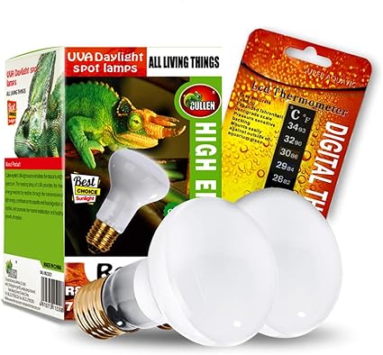 bearded dragon daylight bulb