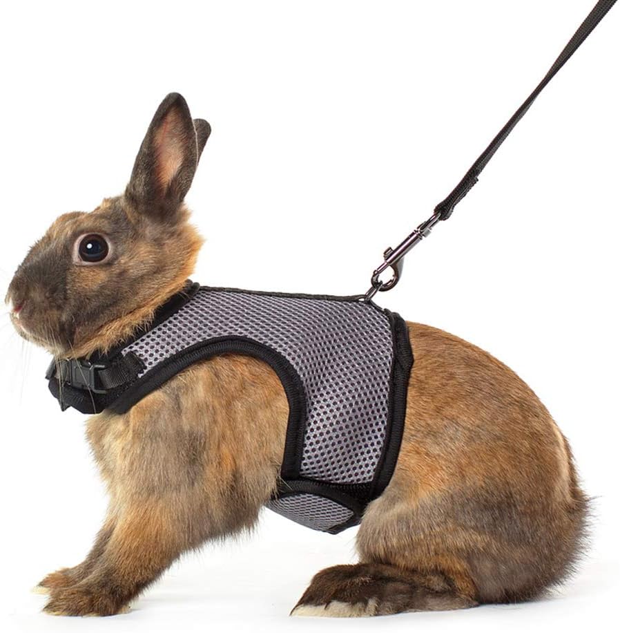 Niteangel Adjustable Soft Harness with Elastic Leash for