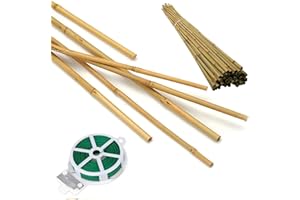 HOPELF 50 Pack 8ft Bamboo Plant Stakes for Wood Garden Sticks，Wooden Plant Supports，Bamboos，Bamboo Trellis，Crafts, More Size Choices 8"/12"/16"//2'/3'/4'/5'/6'/8'