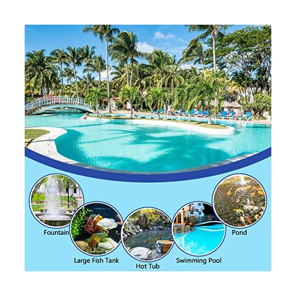 TedGem Skimmer per Piscina, Pulizia Piscine Retino Rete da Superficie di atterraggio Rete a maglia fine da Piscina per…