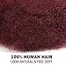 FASHION IDOL Afro Kinkys Bulk Human Hair for Dreadlock Extensions Loc Repair Braiding Twist Tight Afro Kinky Human Hair for Loc 3 Packs 150 Gram Wine Red 12 Inches 5.3 Oz