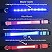 Blazin Light Up Dog Collar - The Original LED Dog Collar - USB Rechargeable - Waterproof - 1,000 Feet of Visibility - Dog Collar Light for Small, Medium, Large Dogs - USA Brand