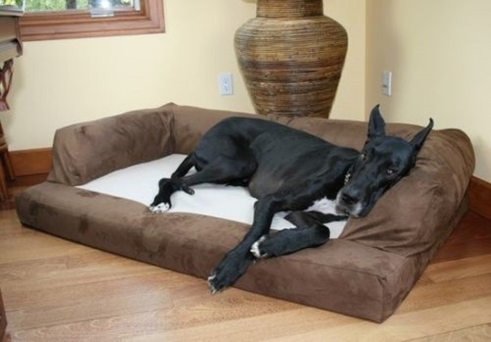 Best Couches for Dogs Top Dog Couches and Review