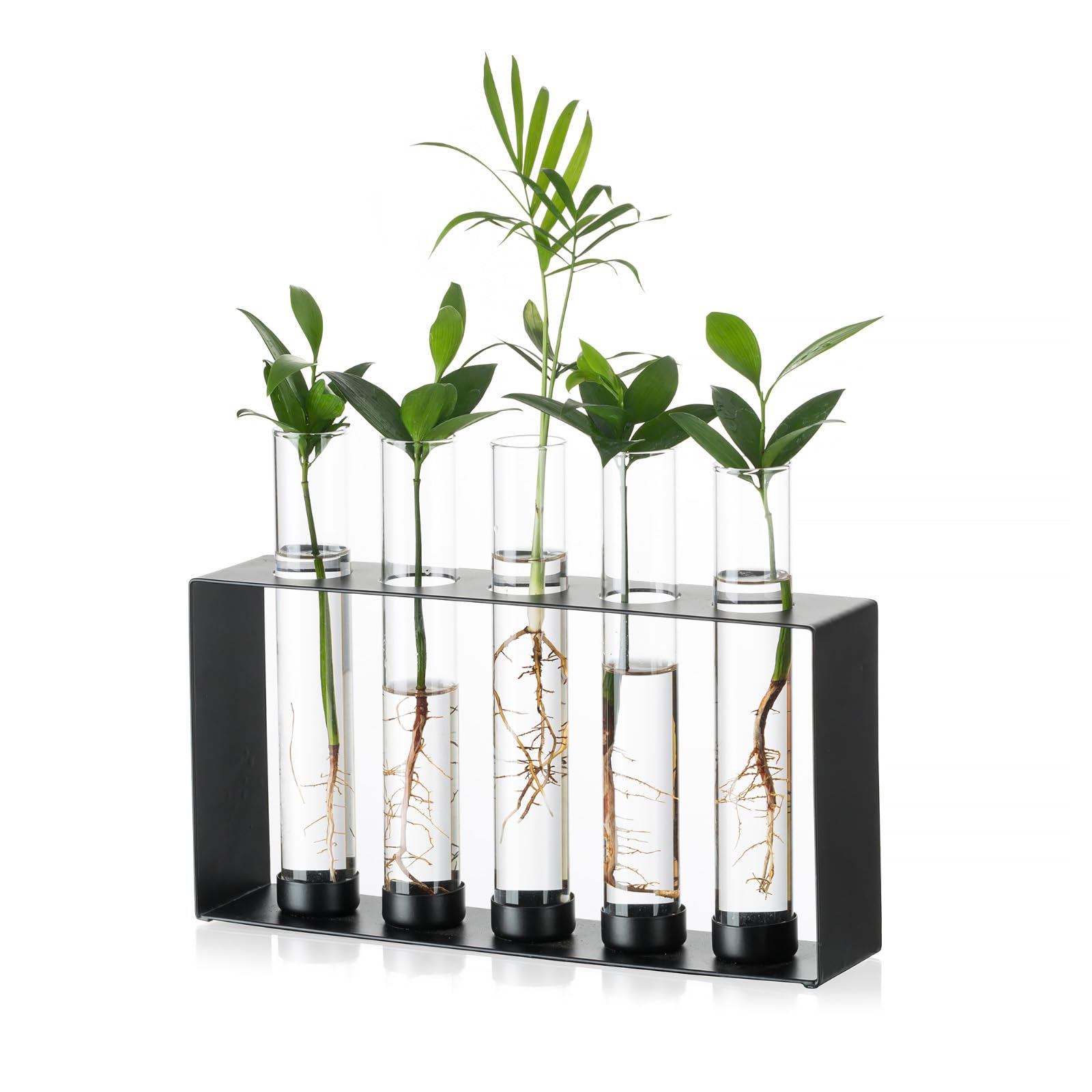Sziqiqi Plants Propagation Station - Glass Terrarium Vase with 5 Test Tubes for Hydroponics Plants Cuttings Modern Metal Vase for Flowers Black Desktop Vases for Home Office Decor