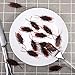 Gejoy 100 Pieces Prank Fake Roaches Plastic Cockroach Bug Joke Toys for Halloween Fool's Day Party